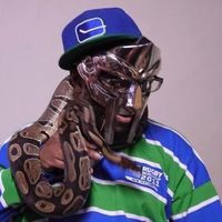 pimprugby