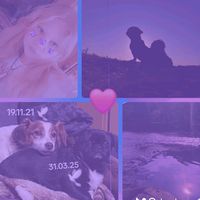 dog_horse_14