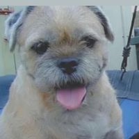 iloveanimals007