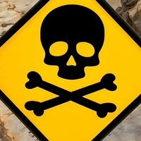 fearless_enduro_studio