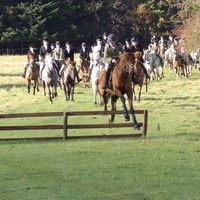 cj.eventing