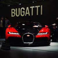 sacha_spott