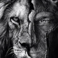 original sound - j777v7