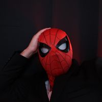 1spiderbom