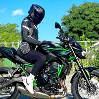 eleonora_z650