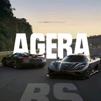 fpelenasiceausescu.art0
