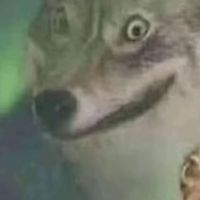 TikTok Account - https://p16-pu-no.tiktokcdn-eu.com/tos-no1a-avt-0068c001-no/4fab47d7c69e8429151e51eb947fc272~tplv-tiktokx-cropcenter:200:200.jpeg