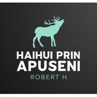 haihui_prin_apuseni