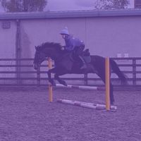 x.equine._.mia.x