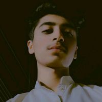 cricket_editor677