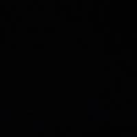 lookatmybio212