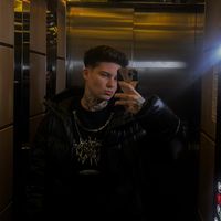 lorigbr240