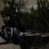 luca_35019