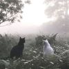Originalton - Wolfchan