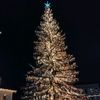 _citate_97_