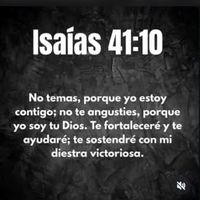 diosteaama7