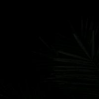 sonido original - 1 minuto con Dios