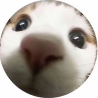 kriszi311