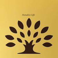 paradice.life