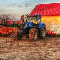 agro_luca240