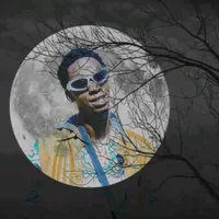 Sound image