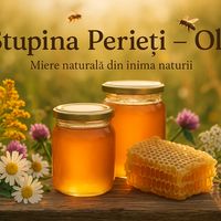 apiscosti1