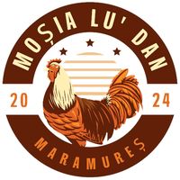 mosialudan