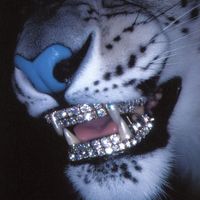 TikTok Account - https://p16-pu-no.tiktokcdn-eu.com/tos-no1a-avt-0068c001-no/5c71be24f7aa2863e87699f70fb8dc26~tplv-tiktokx-cropcenter:200:200.jpeg