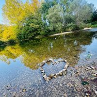 TikTok Account - https://p16-pu-no.tiktokcdn-eu.com/tos-no1a-avt-0068c001-no/5ccfd5863f0ac57290e16ac405b2f271~tplv-tiktokx-cropcenter:200:200.jpeg