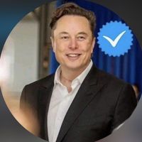 elon_musk_chat__0