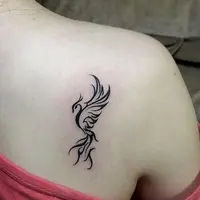 www.tiktokbeautystill