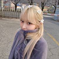 sakura_offlice