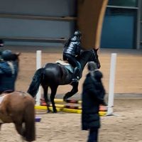 ridsport_cindy