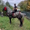 panteaadrian977