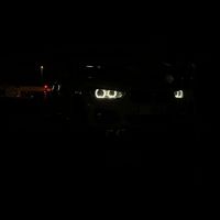 thibz_f20
