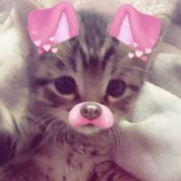 user74828291818