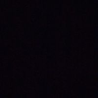 paul.lpz1004