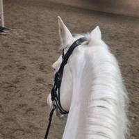 fanny.berglund2