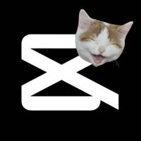 TikTok Account - capcat.cc