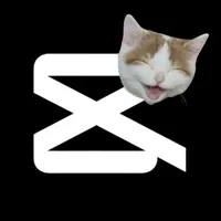 Sound image