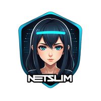netslim.org