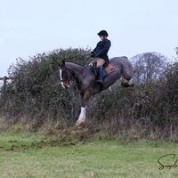 fledge_fudge