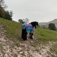 soxthepony