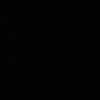 tehanii_t