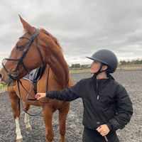 scarlettluxford.equine