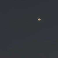 jvstv.caos