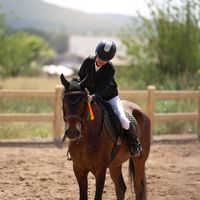showjumper_adharaa