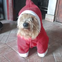 debby_sono_io_70