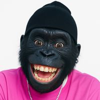 aminelanimal