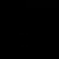 rinauser0